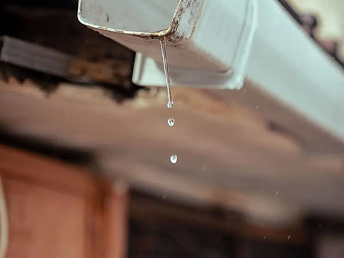 imageimg1-3